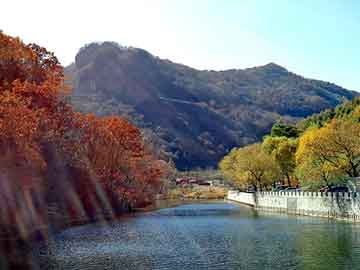 新澳天天开奖资料大全旅游团，泛微目录授权